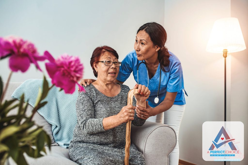 Companion caregiver assisting an elderly client with daily activities at home in Southwest Florida
