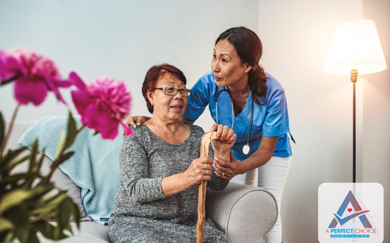 Companion caregiver assisting an elderly client with daily activities at home in Southwest Florida