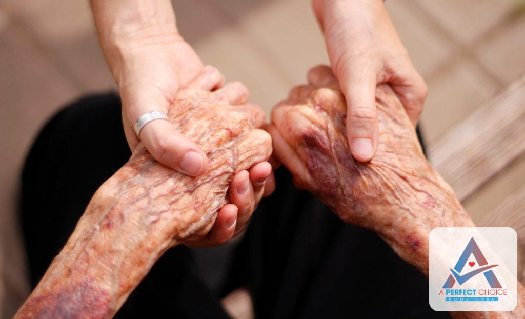 Estero home caregiver assisting a senior client during in-home care visit